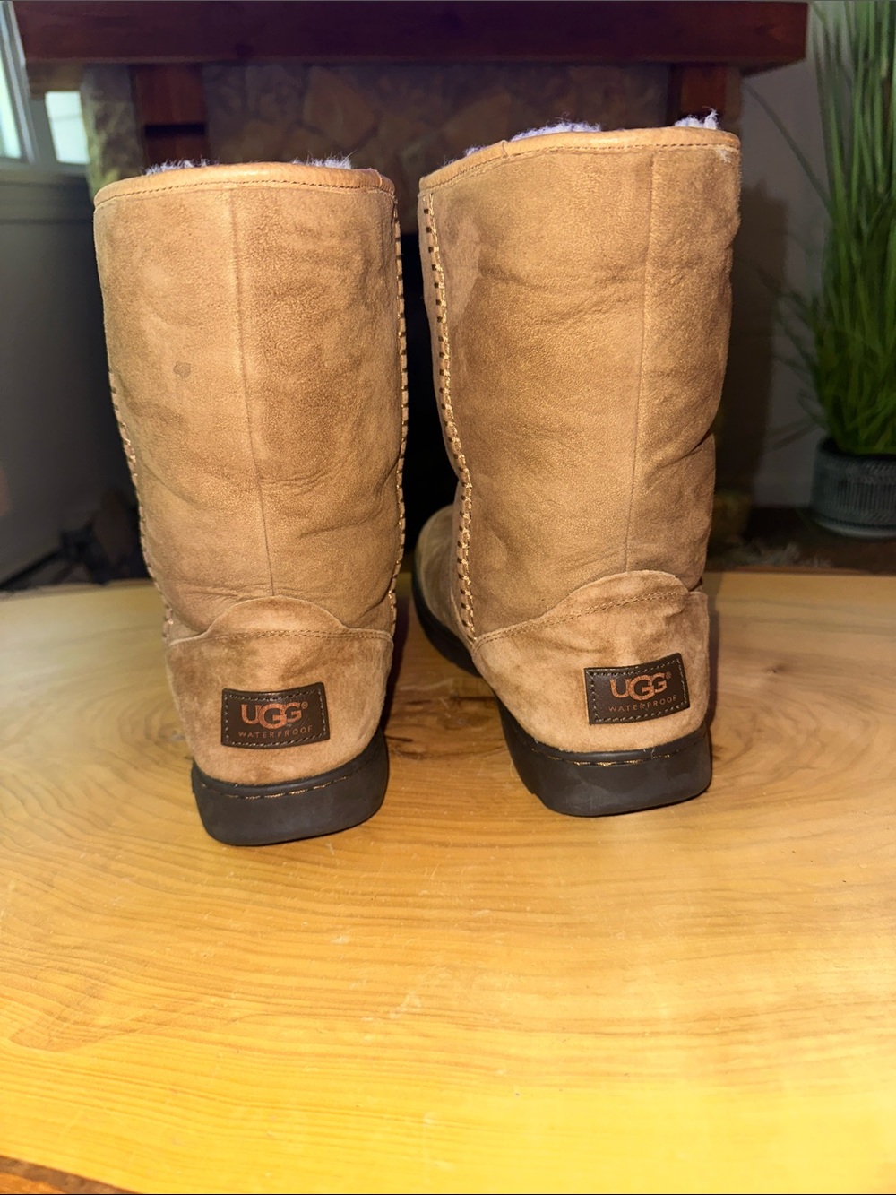 🤎🤎🤎 UGG Short Shearling-Lined Boots - Chestnut